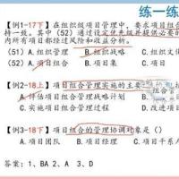 IT项目经理的试炼-最新高级信息系统项目管理师 基础提炼+难点分析+考题精讲+历年真题