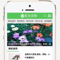 (带手机版数据同步)花卉养殖新闻资讯类织梦模板 绿色花草植物网站模板下载